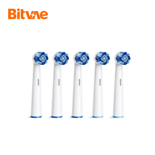 Эргэдэг сойзны запас 5ш